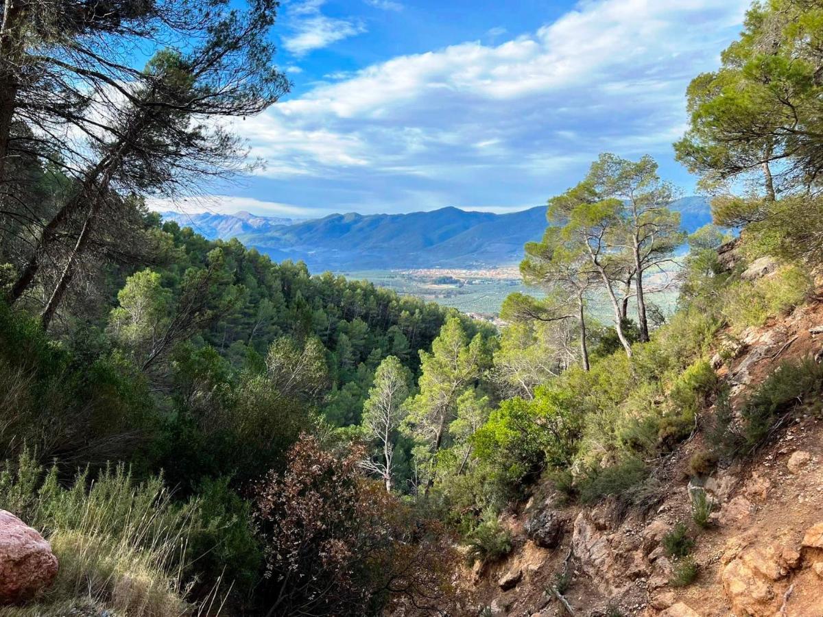 Casa Rural Puente Del Segura Elche de la Sierra Zewnętrze zdjęcie