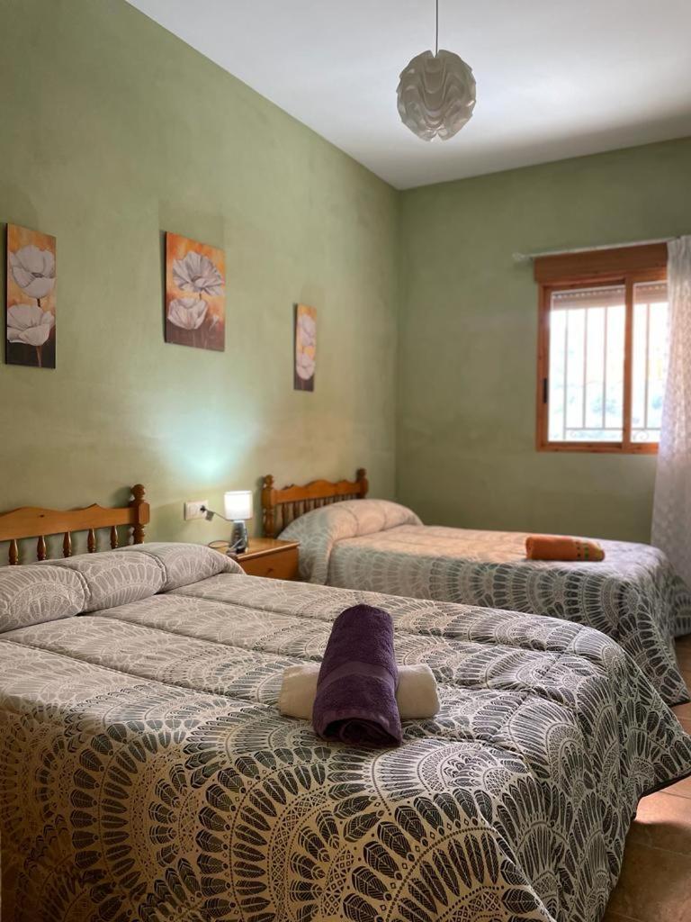 Casa Rural Puente Del Segura Elche de la Sierra Zewnętrze zdjęcie