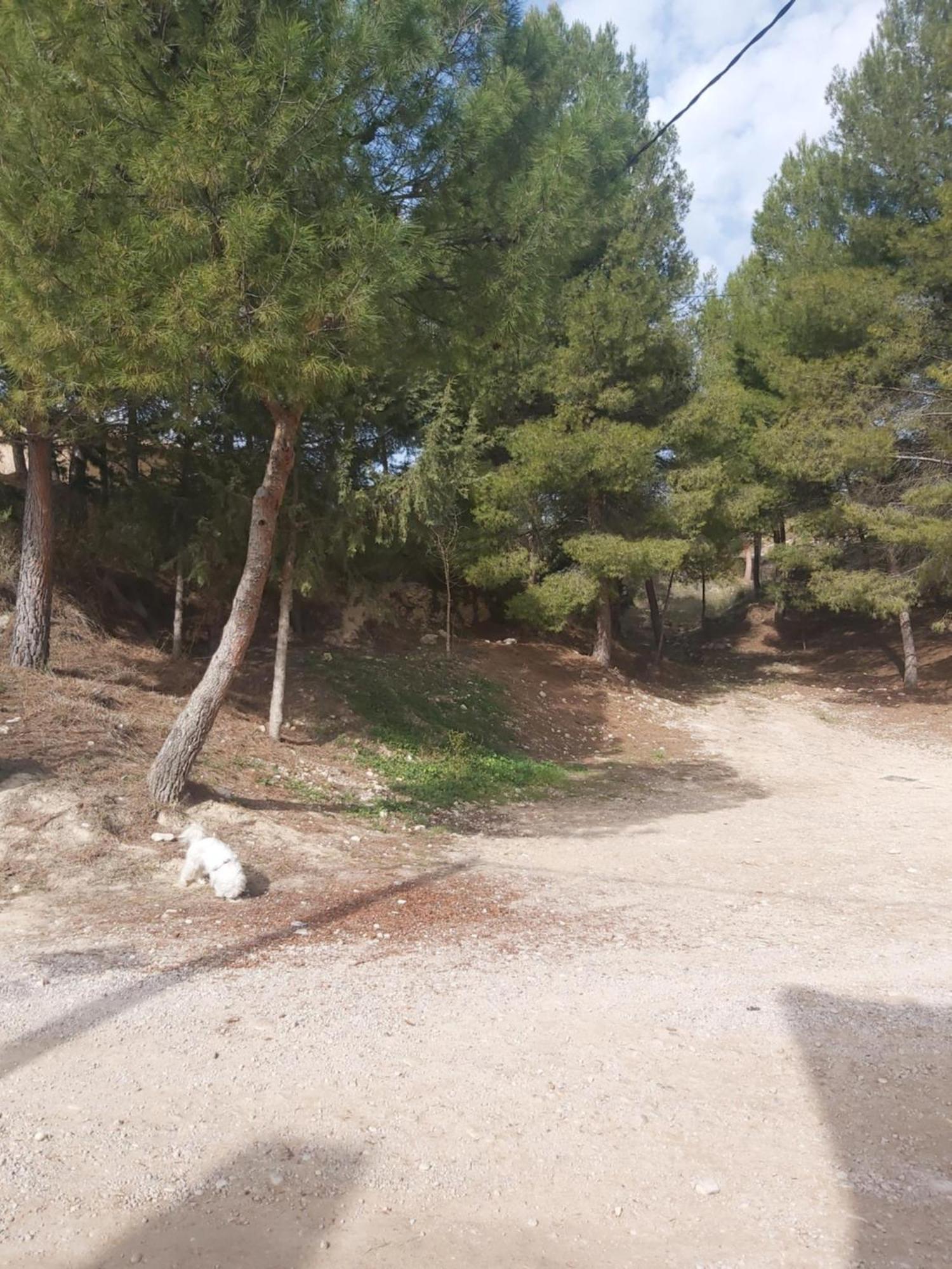 Casa Rural Puente Del Segura Elche de la Sierra Zewnętrze zdjęcie
